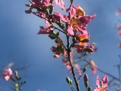 -小梅沙海滨乐园