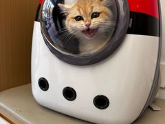 -瑞派康怡24h宠物医院·犬猫医疗中心·微创绝育(瑞景分院)