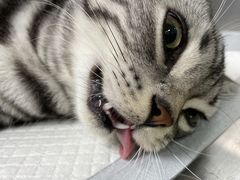 -宠颐生中康贝怡动物医院
