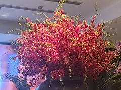 -滋色臻选川菜(北京坊旗舰店)