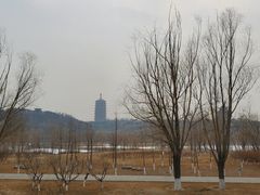 -永定河休闲森林公园