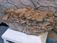 -延庆地质公园博物馆