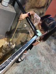 -酷嗒动物文化乐园(cutezoo西溪乐天城店)