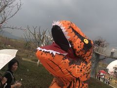 -天适樱花悠乐园