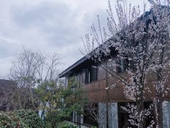 -同里国家湿地公园