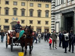 -圣母百花大教堂穹顶