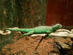 -多彩贵州城极地海洋世界