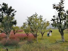 -汉长安城未央宫国家考古遗址公园