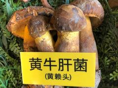 -菌海森林·非遗野生菌火锅(西山区滇池路摩根道店)