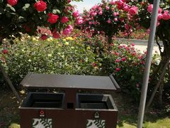 -龙寺生态园