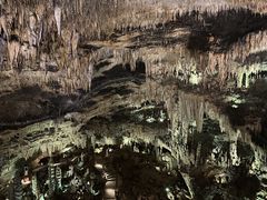 -光雾山旅游景区