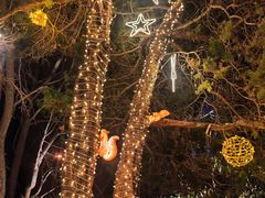 -中山路壹号传奇club·啤酒花园餐厅