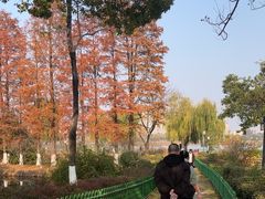 -金银湖国家城市湿地公园