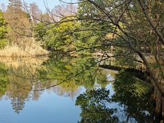 -东湖落雁景区
