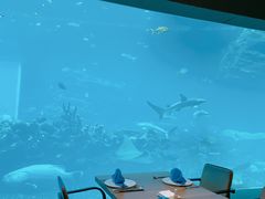 -海棠湾洲际-涛·海底餐厅·美人鱼·自助餐·海底隧道
