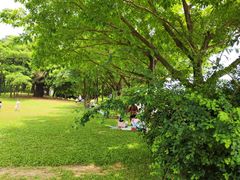-深圳湾公园(南山区)