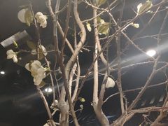 -韩盛·盛江山自助料理(于洪新玛特店)