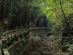 -凤栖山