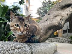 -晓港公园
