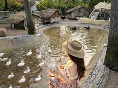 -珠海海泉湾度假区