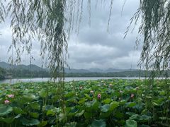 -西湖游船