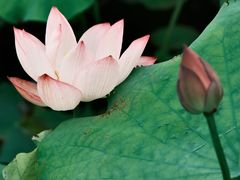 -梁鸿国家湿地公园