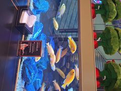 -黄鱼炙夜·烧烤·小龙虾(星荟广场店)