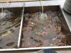 -渔家火锅·海鲜自助餐·演艺(亚龙湾天域酒店)