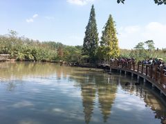 -溱湖国家湿地公园