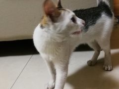 -深圳市人民医院(留医部)