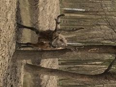 iphone_upload_pic-溱湖国家湿地公园