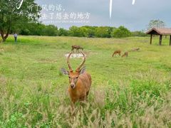 -良渚古城遗址公园