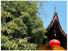 -龙华素斋(龙华路店)