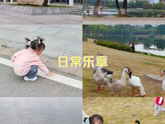 -武汉园博园(武汉自然博物馆)