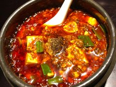 -陈麻婆豆腐总店