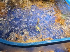 -十二海鲜(南湖店)