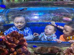 -暹罗海洋世界