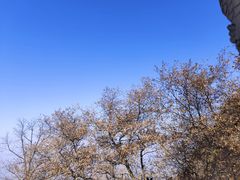 -终南山南五台景区
