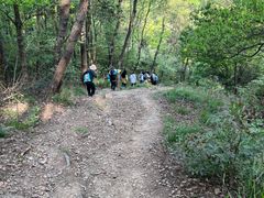 -青龙山国家森林公园