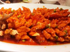 松鼠鱼-乾园(天河城店)