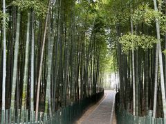 -树山生态村