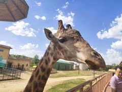 -鄂尔多斯野生动物园