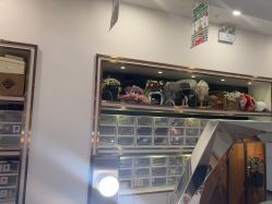 -十月日记高端孕妈妈摄影(黄金大厦店)