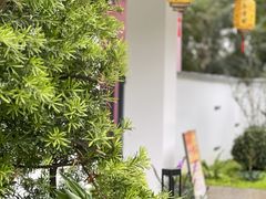 -陶缘一号·四季缘·老字号顺德菜·户外婚礼家宴(西滘店)