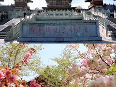 -西安青龙寺遗址景区