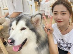 -李小姐の猫咖啡馆(五角场店)