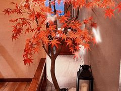 -春熙台韩国料理·章鱼肥牛(西丽店)