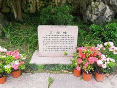 -上海方塔园