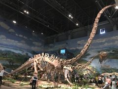 -自贡恐龙博物馆