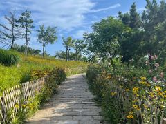 -小麦岛公园